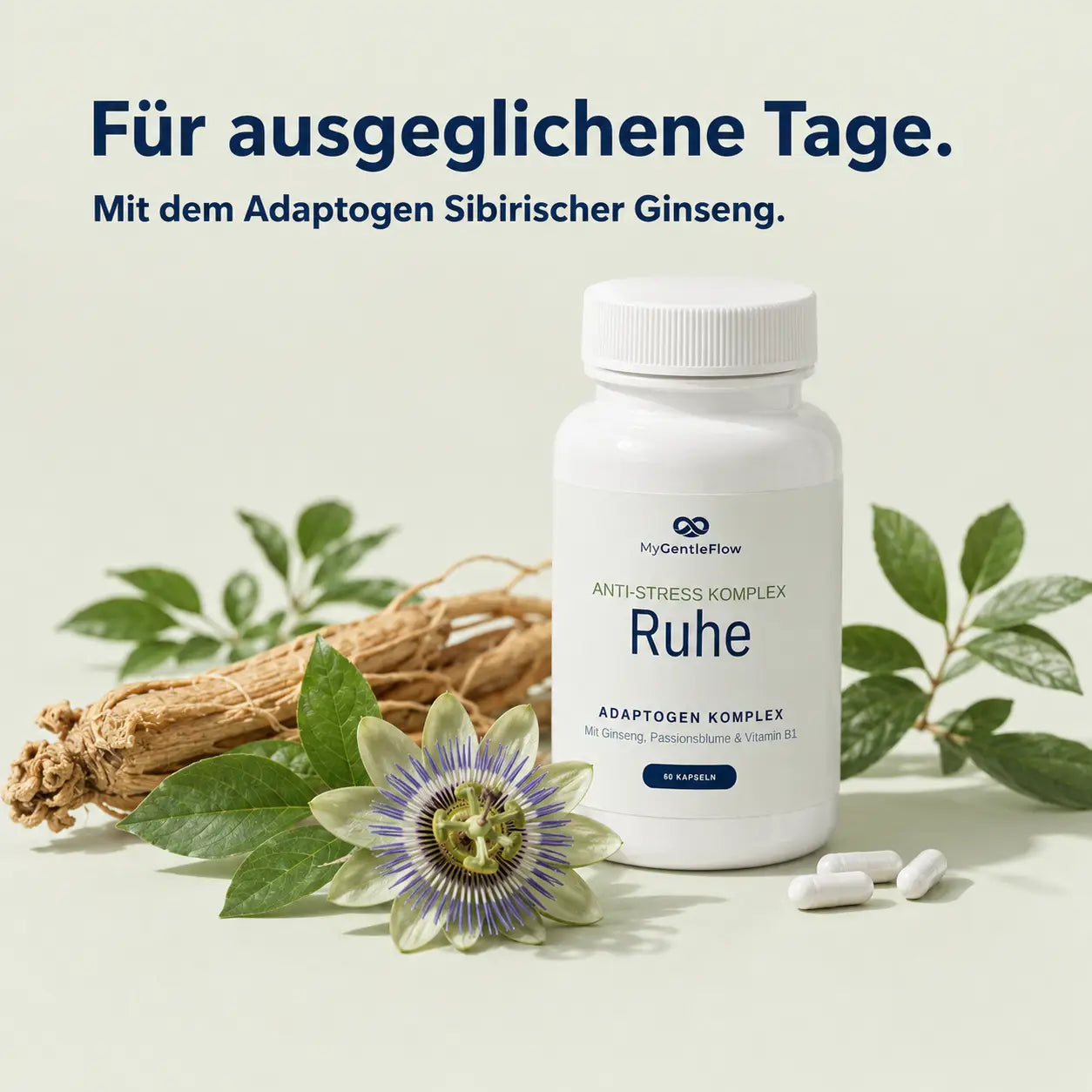 Gentle Ruhe – Adaptogen-Komplex mit Ginseng & Passionsblume | 60 Kapseln